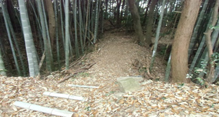 対策前の土橋の状況