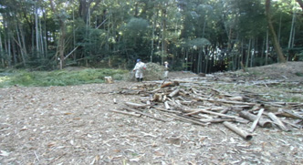 主郭広場南東方向の作業前の状況 1