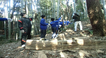 土橋に並んで竹木の搬出