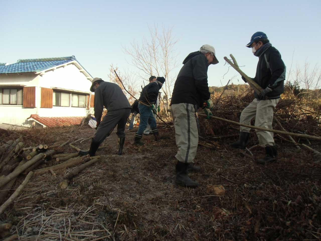 漆の木の伐採と雑草の刈取り