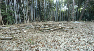 主郭広場南東方向の作業前の状況 2