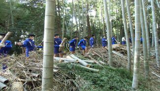 土橋三差路付近で竹木の搬出