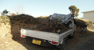 木枝、雑草の搬出