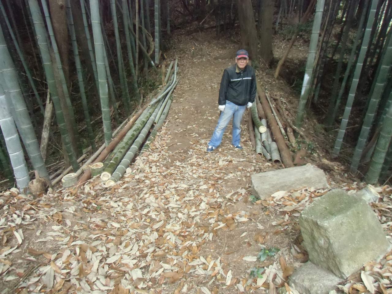 仕上げは今月半ばを予定