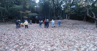 竹、木枝を搬出した