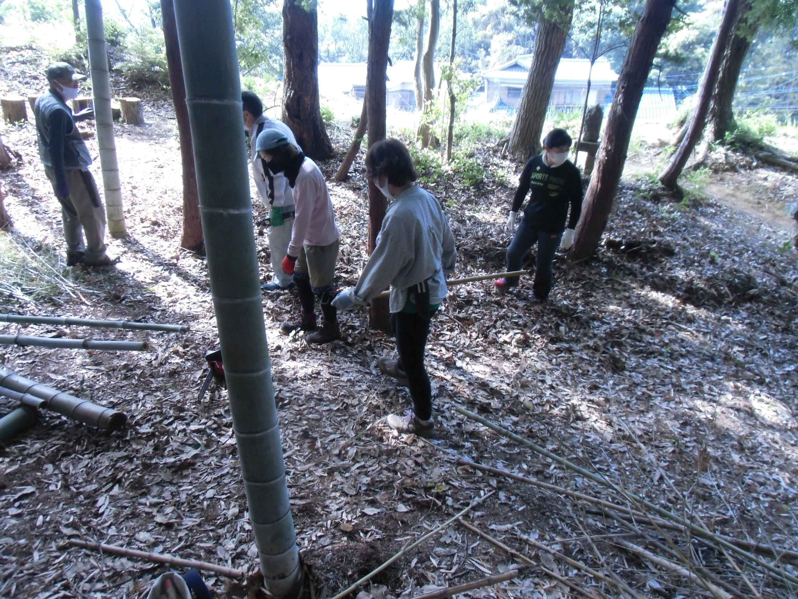 伐採竹木の収集場所の説明