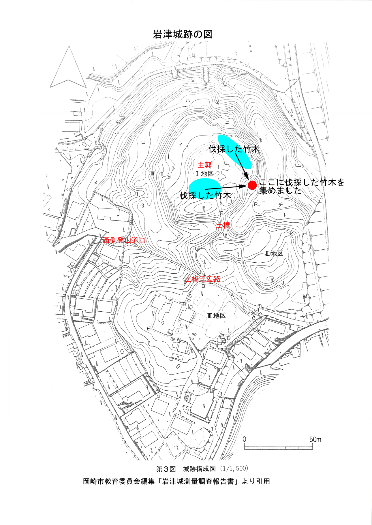 今回清掃した場所